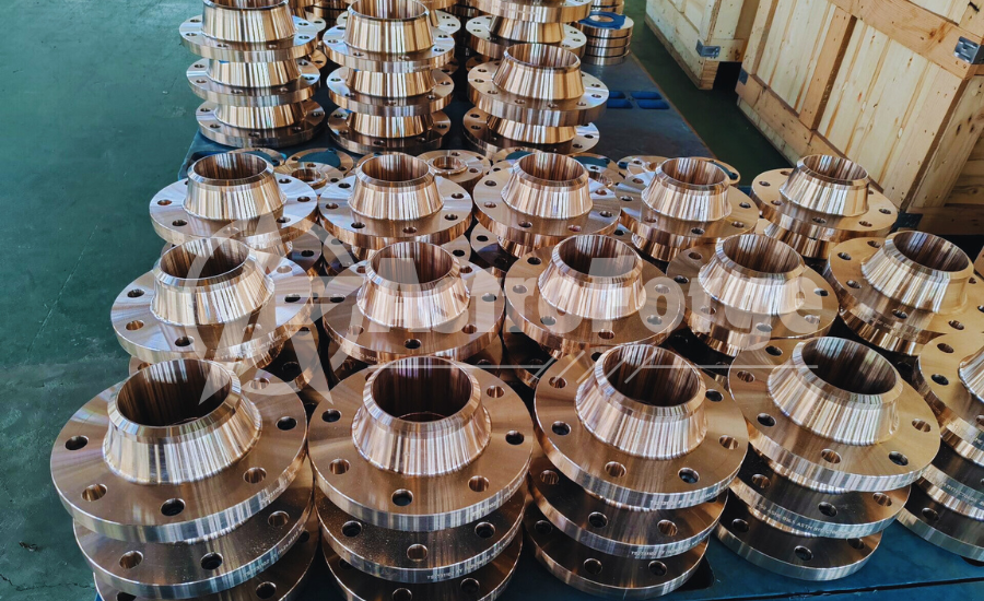 SS Pipe Flanges Suppliers India